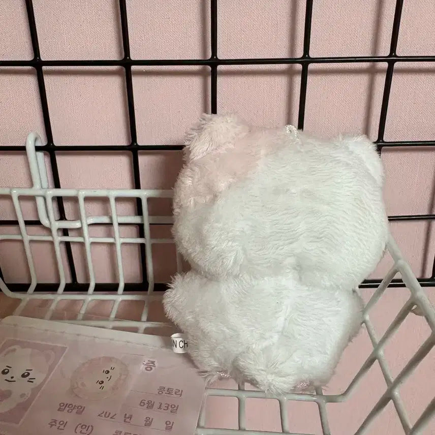 성한빈인형 콩토리