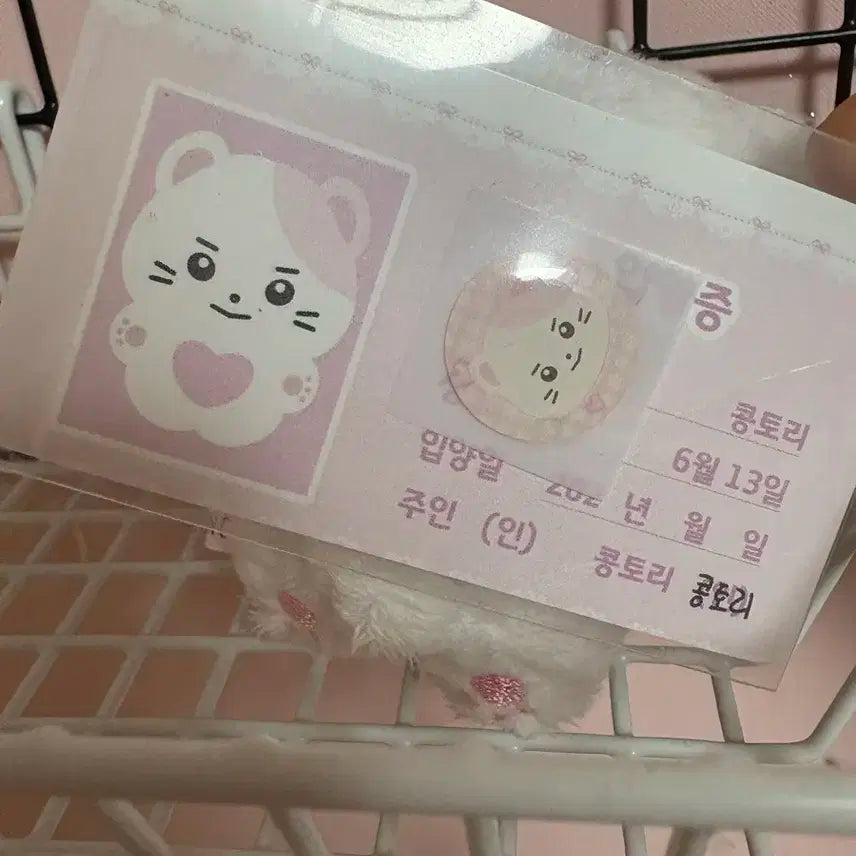 성한빈인형 콩토리