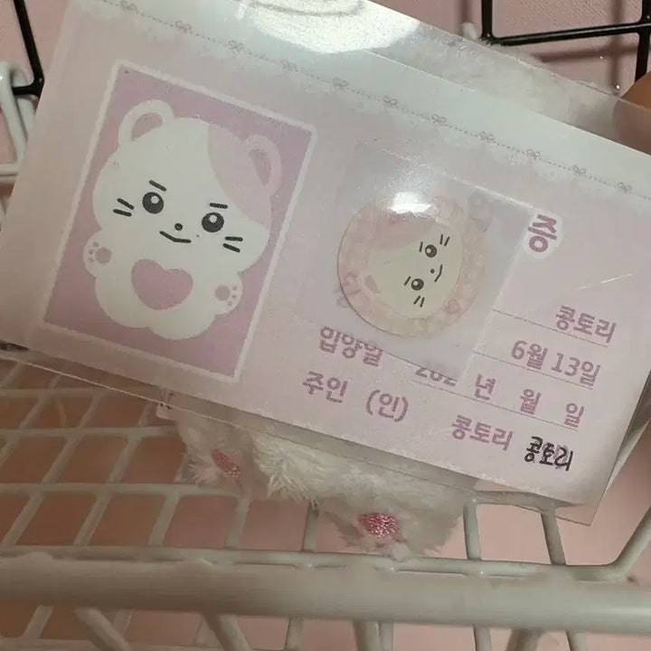 성한빈인형 콩토리