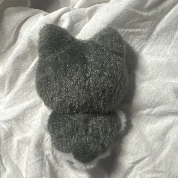 엔하이픈 제이 인형 냥쫑군 띠부띠부씰 양도