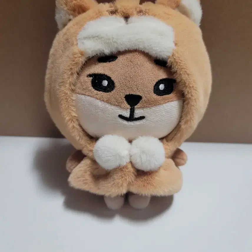 데이식스 영케이 데니멀즈 KE 케이프 포함