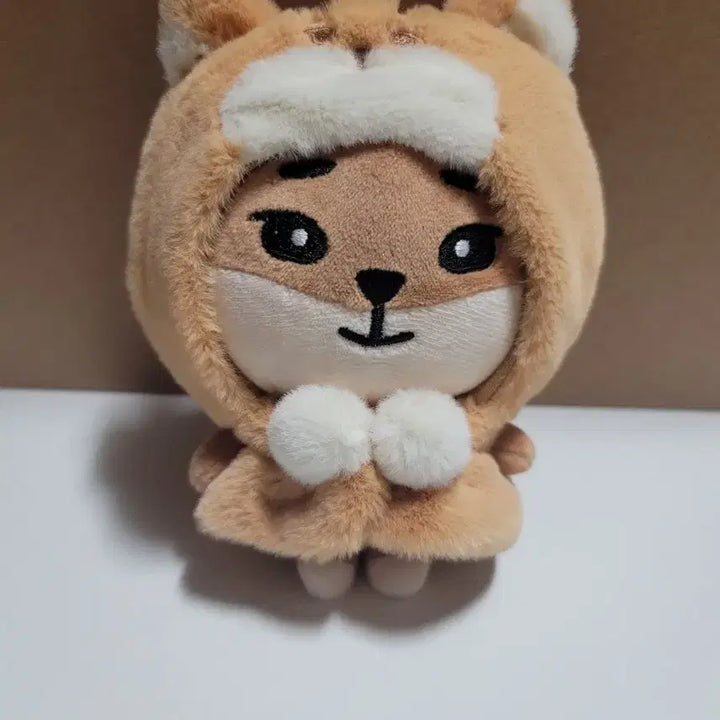 데이식스 영케이 데니멀즈 KE 케이프 포함