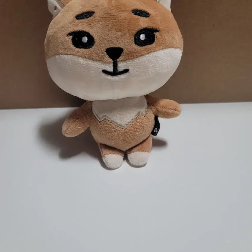 데이식스 영케이 데니멀즈 KE 케이프 포함