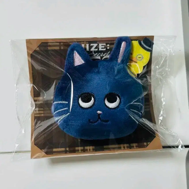 라이즈 일본 팬미팅 인형 뱃지 원빈 토냥덕 양도