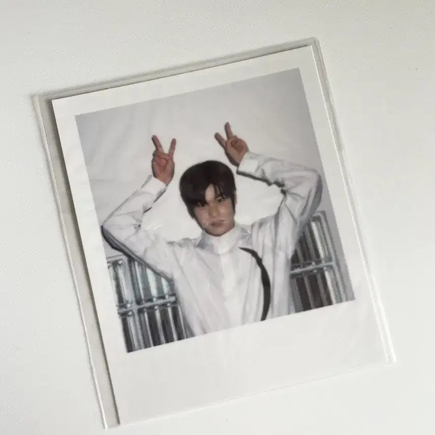 라이즈 소희 시그 폴라