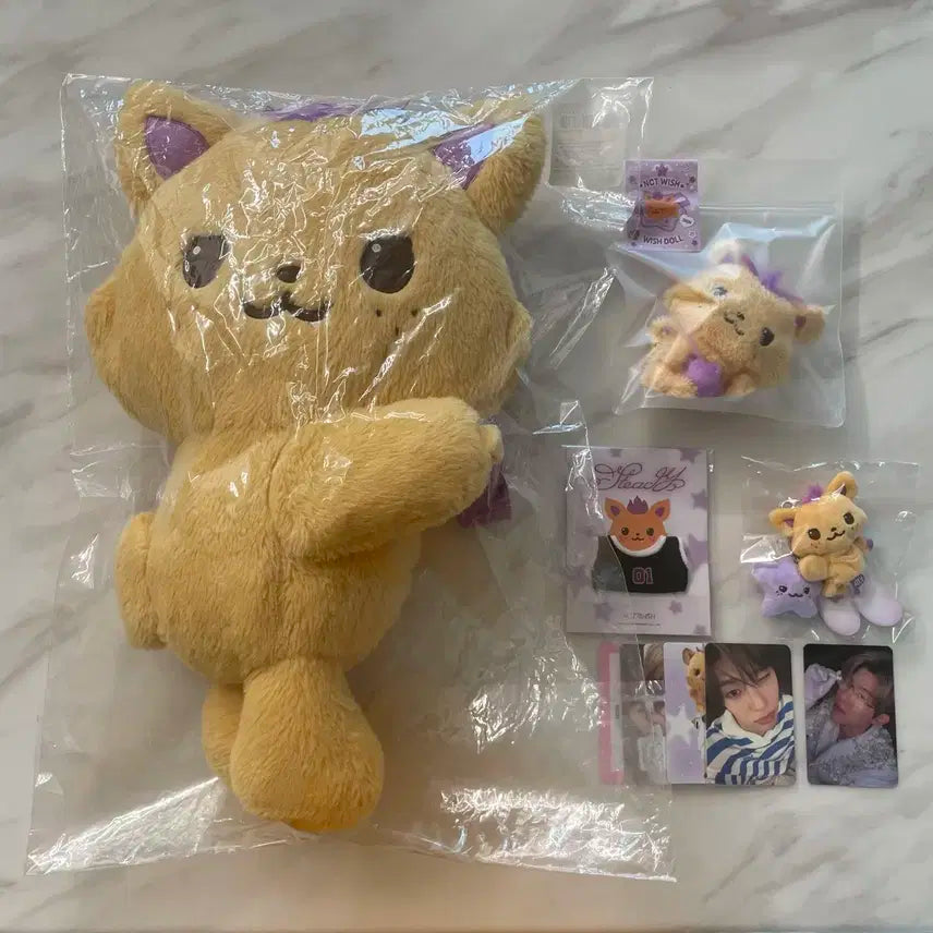 엔시티위시 위시돌 시온 시오닝 인형 가방 미니 위시돌 포카 일괄 양도