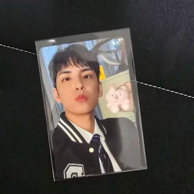 데이식스 데니멀즈 팝업 포카 원필