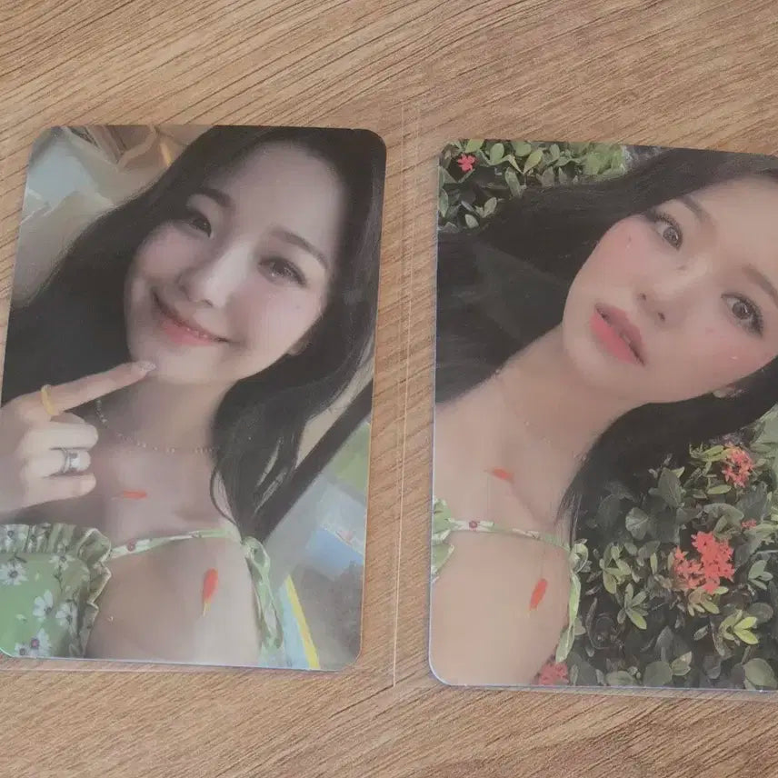 프로미스나인 백지헌 포카 2장 일괄 memento box 메모리버전