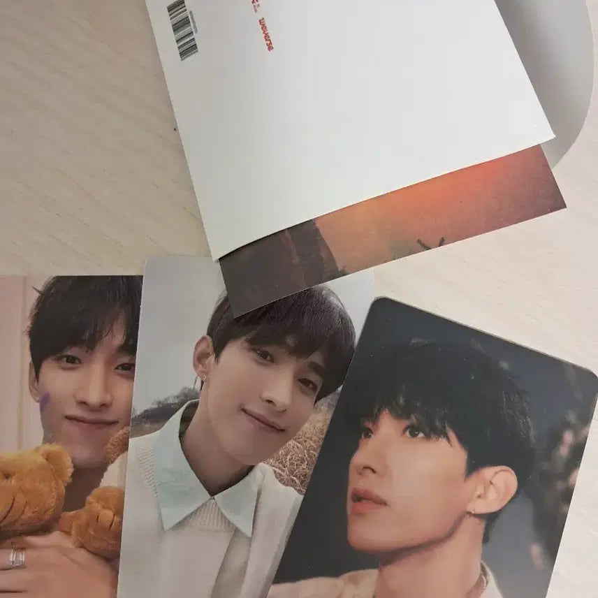 패더썬 face the sun 도겸 일괄 양도