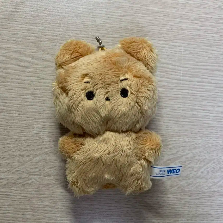 더보이즈 현재 인형 달곰이