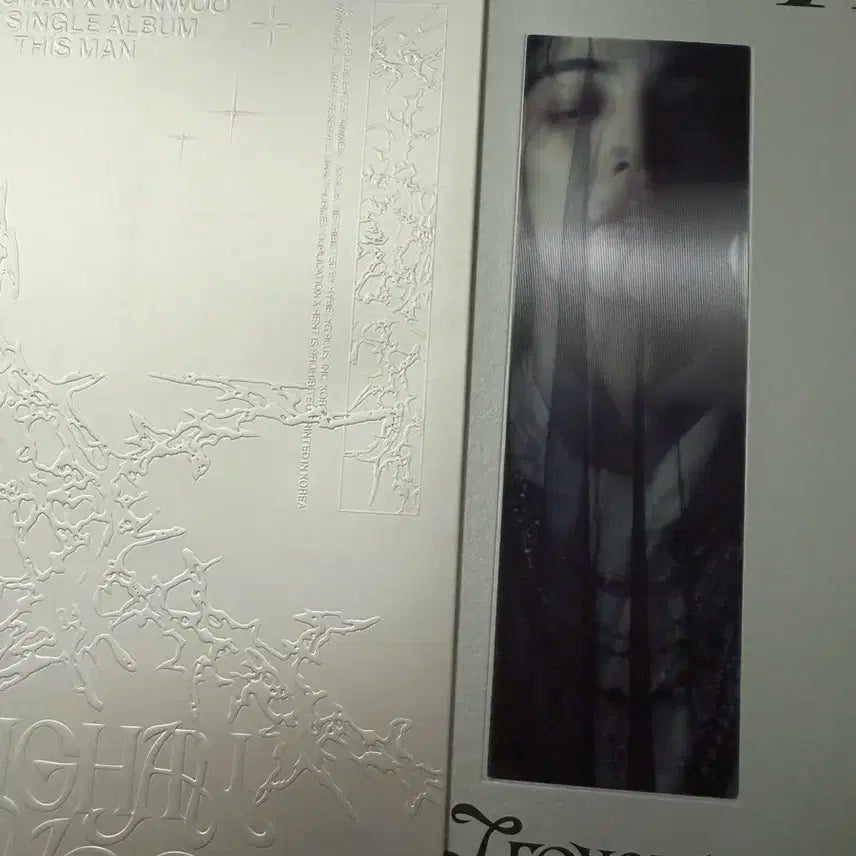 세븐틴 원정대 디스맨 개봉앨범 원우 정한 포카 앨범