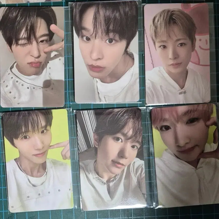 엔시티 위시 슴스 쇼케이스 미공포 컬러 팔레트 일괄