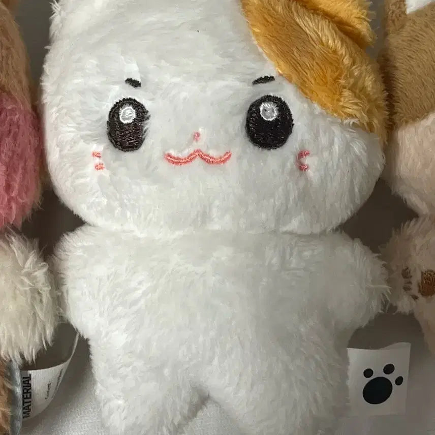 솜한빈 성한빈 인형 팔아요 입양증O
