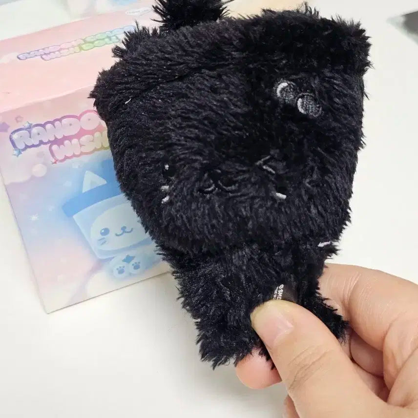 위시돌 버블냥 시크릿