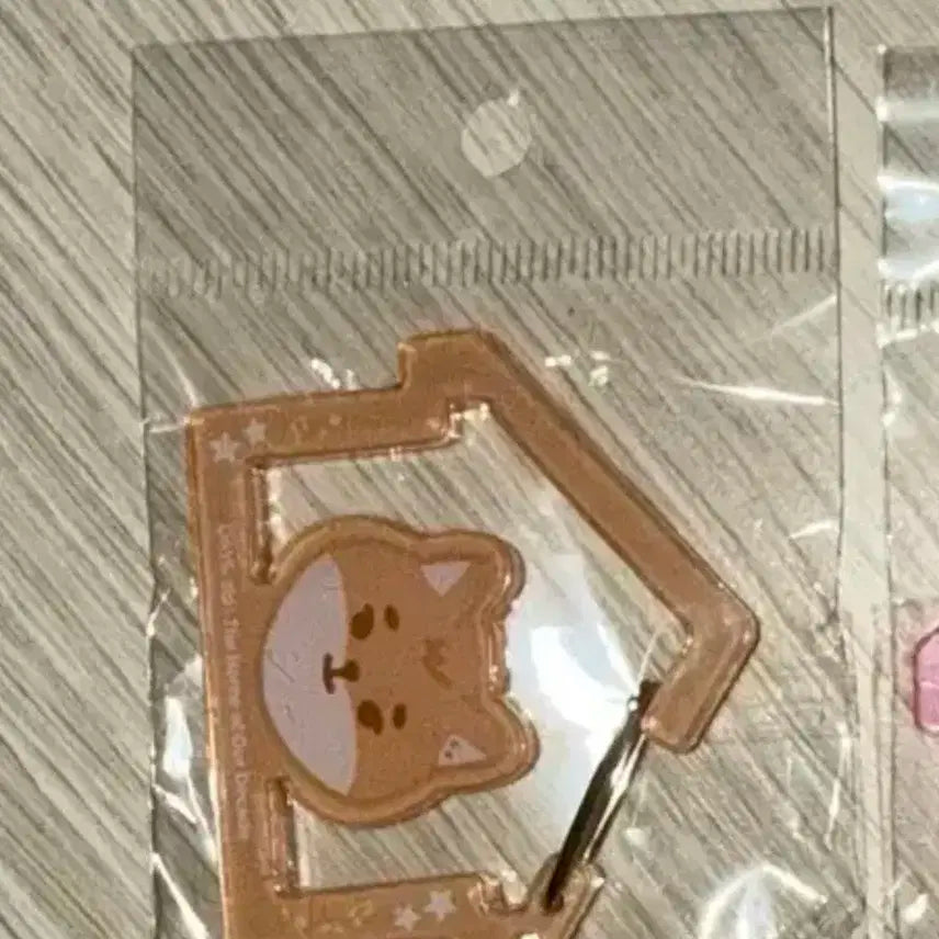 데이식스 팝업 카라비너 케 영케이 가챠 컨페티