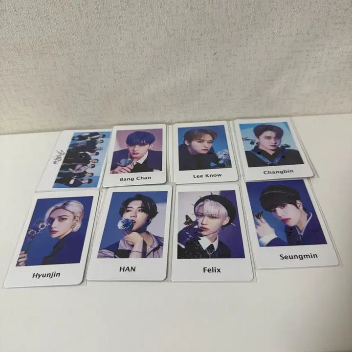 스트레이키즈 스키즈 일본 콘서트 매니악 포카