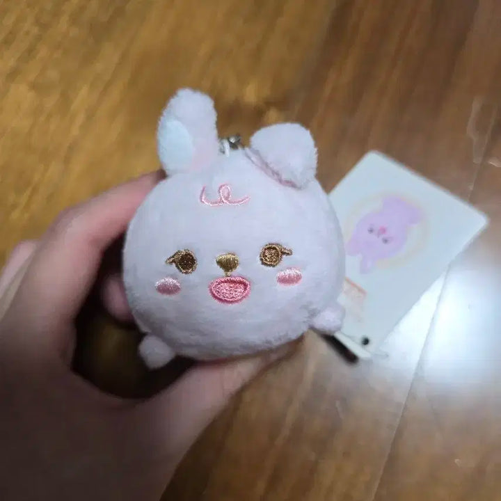 쁘띠 데니멀즈 필