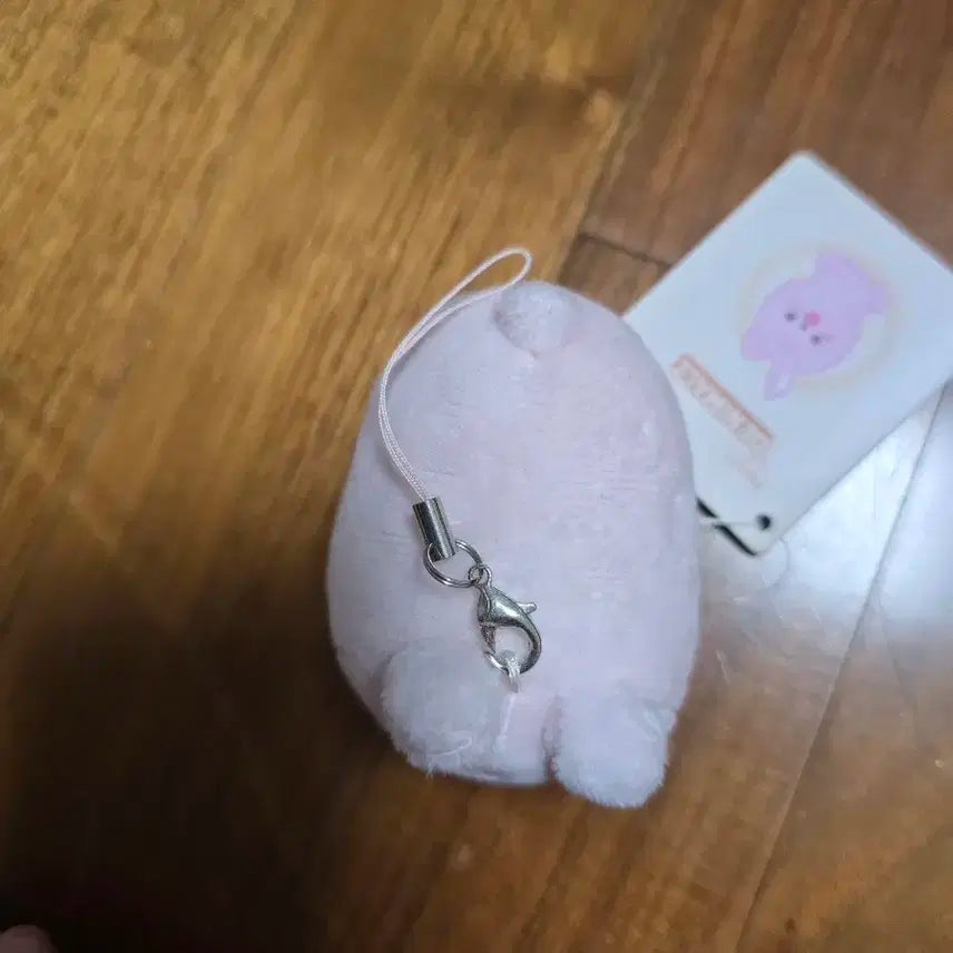 쁘띠 데니멀즈 필