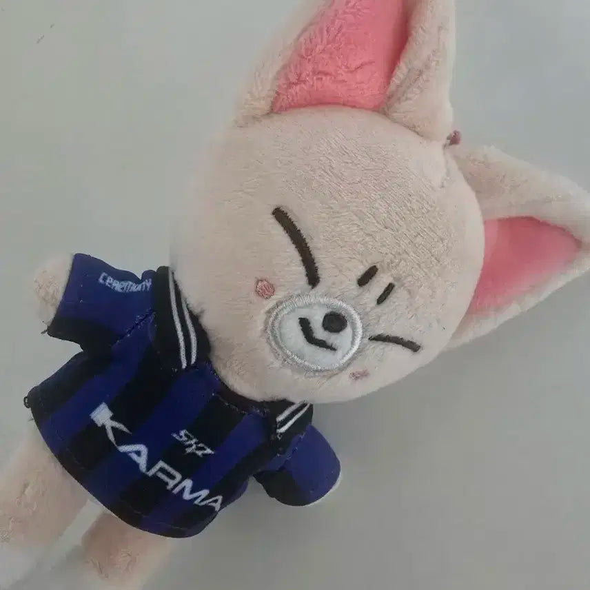 스키주 카르마 폭시니 양도