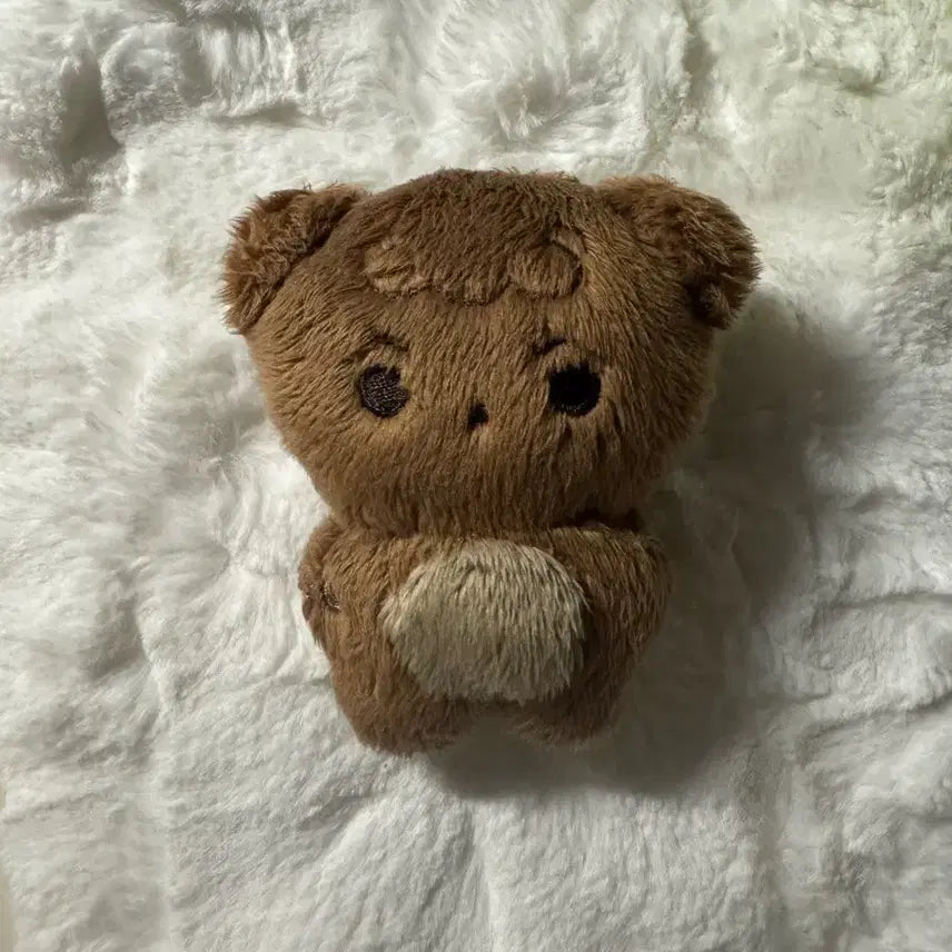 꼼찬이 팝니다