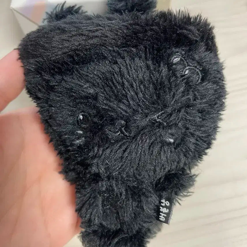 엔시티위시 위시돌 컬러위시돌 버블냥 양도