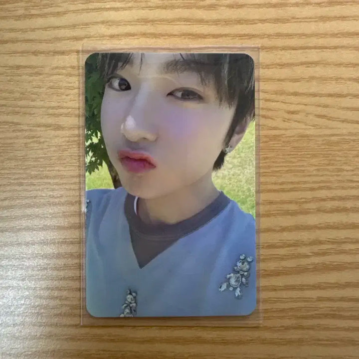 엔시티위시 사쿠야 송버드