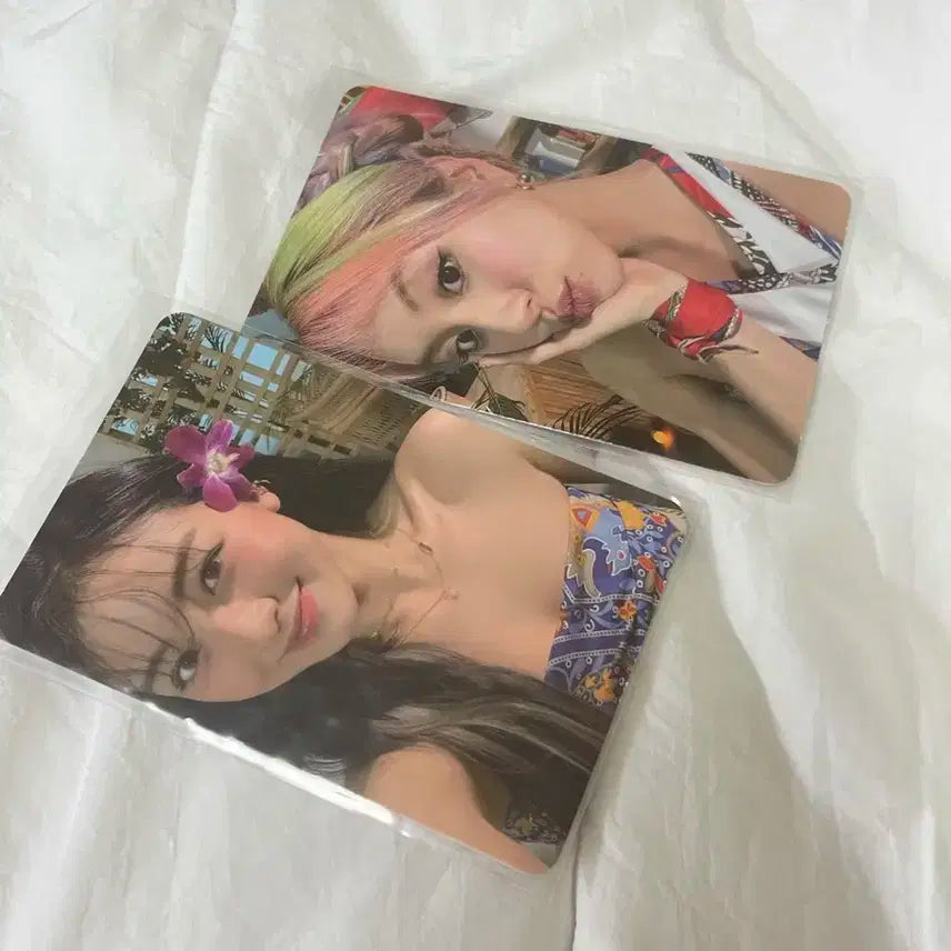 트와이스 채영 지효 포카