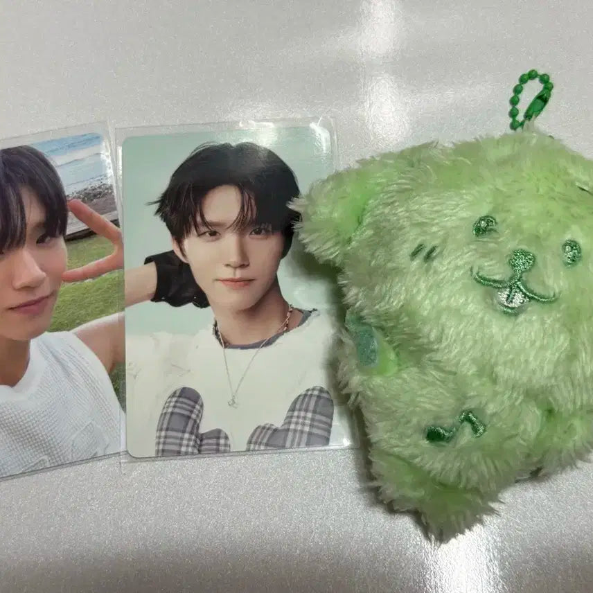 엔시티위시 컬러 위시돌 댕트리버 그린(박스있음) 위부부 양도