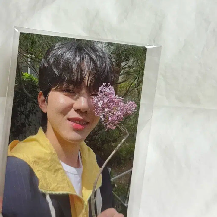 데이식스 도운 코스모폴리탄 포카