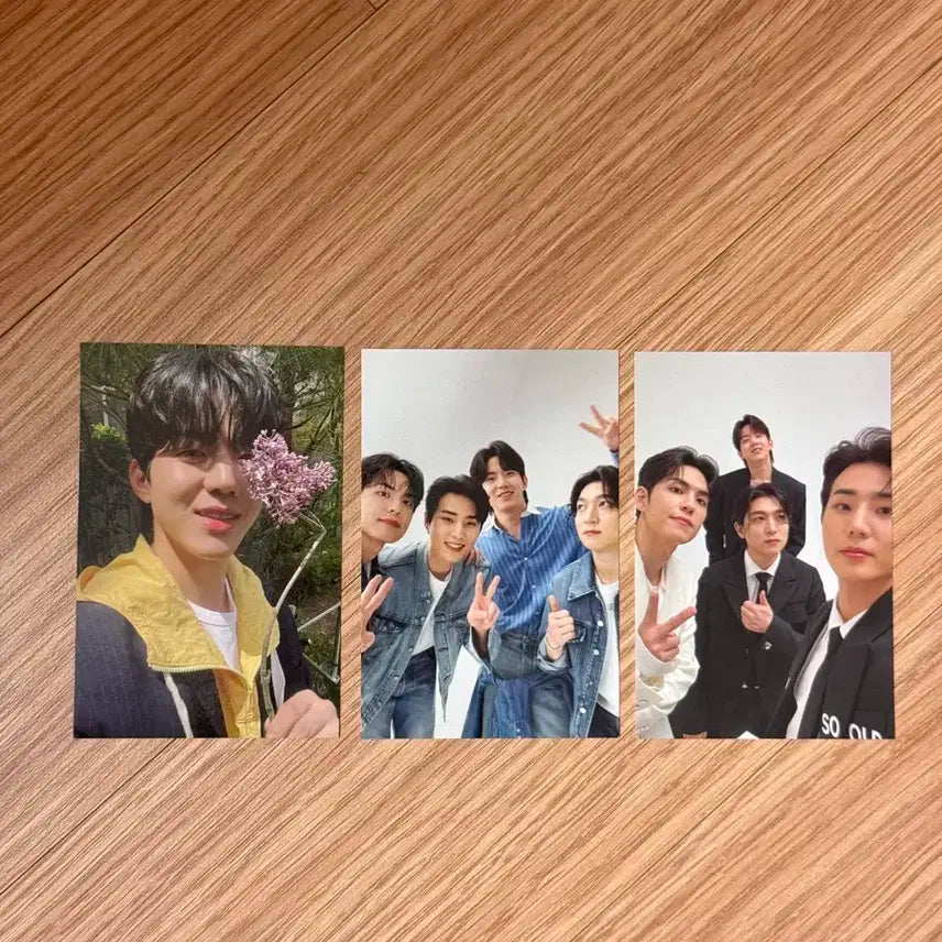 데이식스 도운 코스모폴리탄 포카