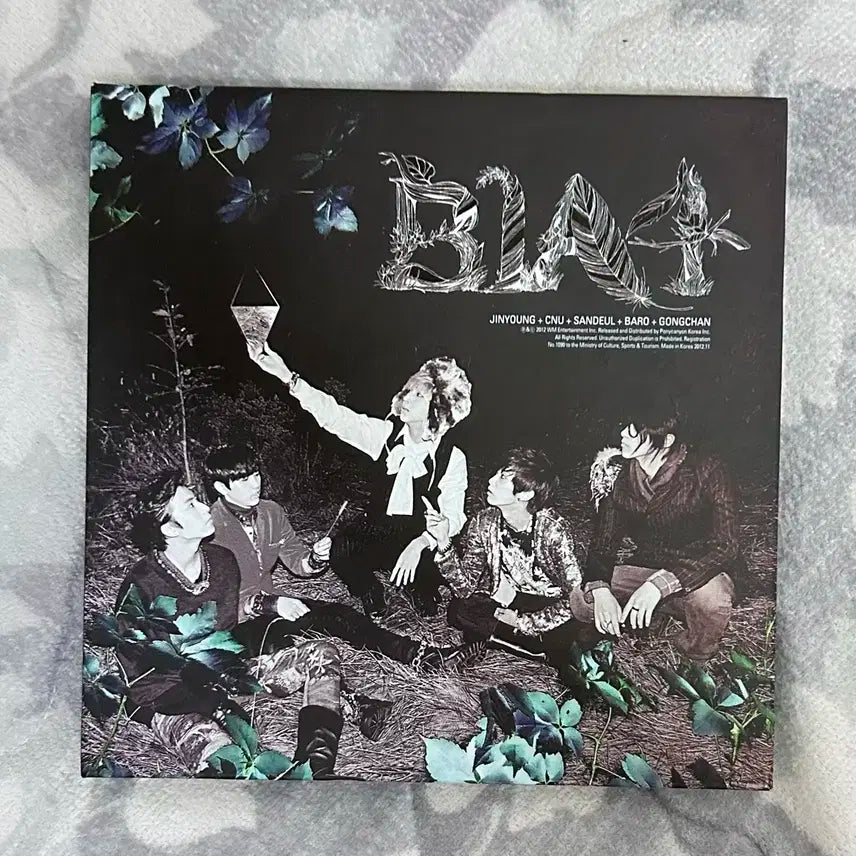 B1A4 IN THE WIND 앨범