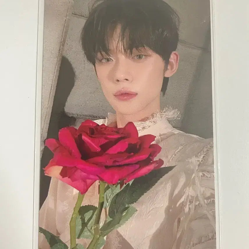 투바투 연준 데자뷰 공방포카 양도