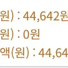 블리치 이치고 요리누이 인형