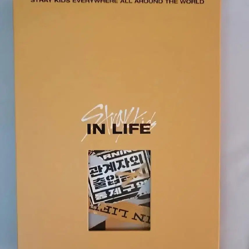 스트레이키즈 인생 앨범