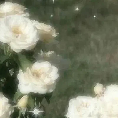 삼님 불명예 로맨스 살해사건(홍윤)회지 판매