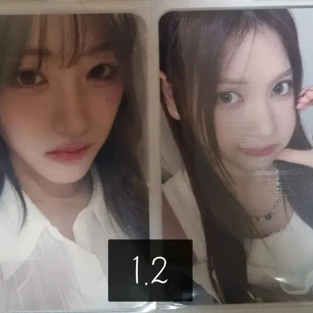 세이마이네임 준휘 에버라인 카페 이벤트 미공포 포카 일리 카니