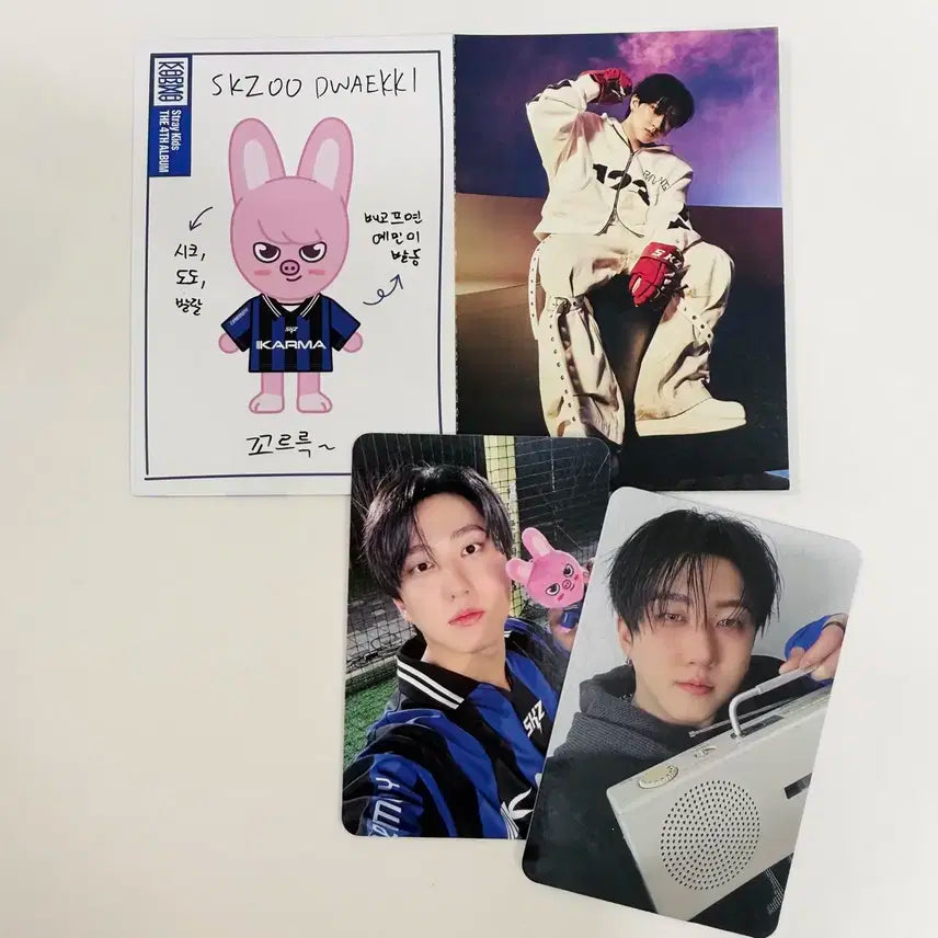 스트레이키즈 카르마 스키주 돼끼카드+포카2종+무배