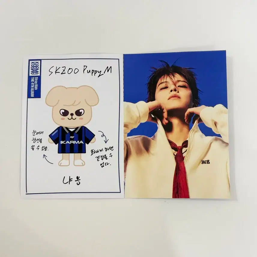 스트레이키즈 카르마 스키주 퍼핌 카드 승민