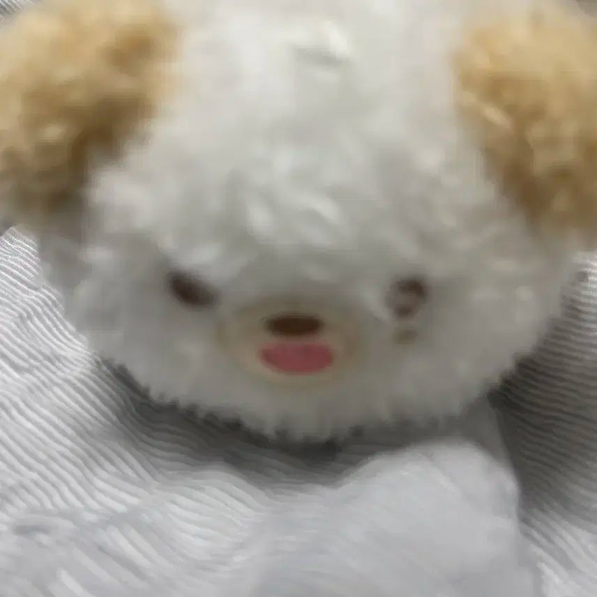 데이식스 데니멀즈 사족보행 돈 양도