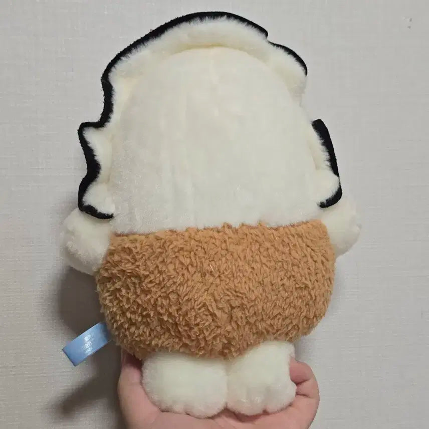 츠부라나 일본 굴인형