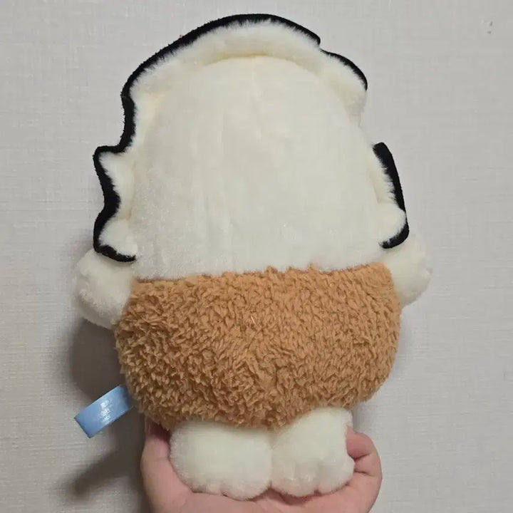 츠부라나 일본 굴인형