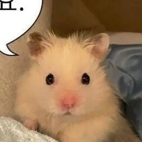 아이딧