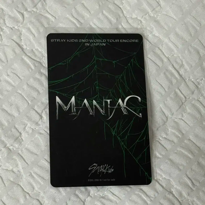 스키즈/스트레이키즈 매니악 월드투어 현진