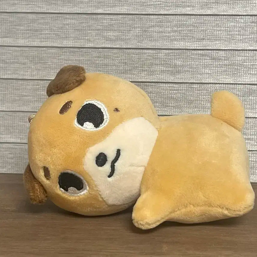 Day6 데니멀즈 md 핸드워머 판매 원가이하