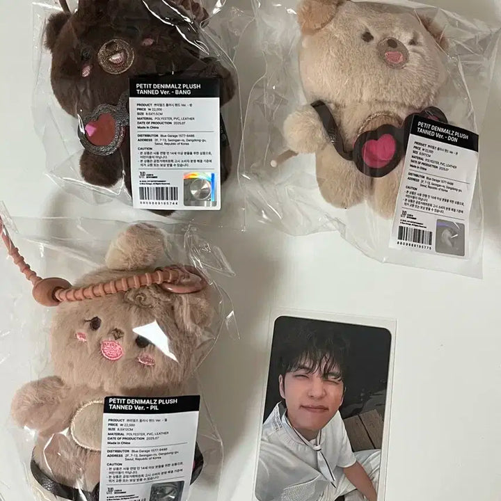 데이식스 태닝 방필돈 일괄 + 원필 포카