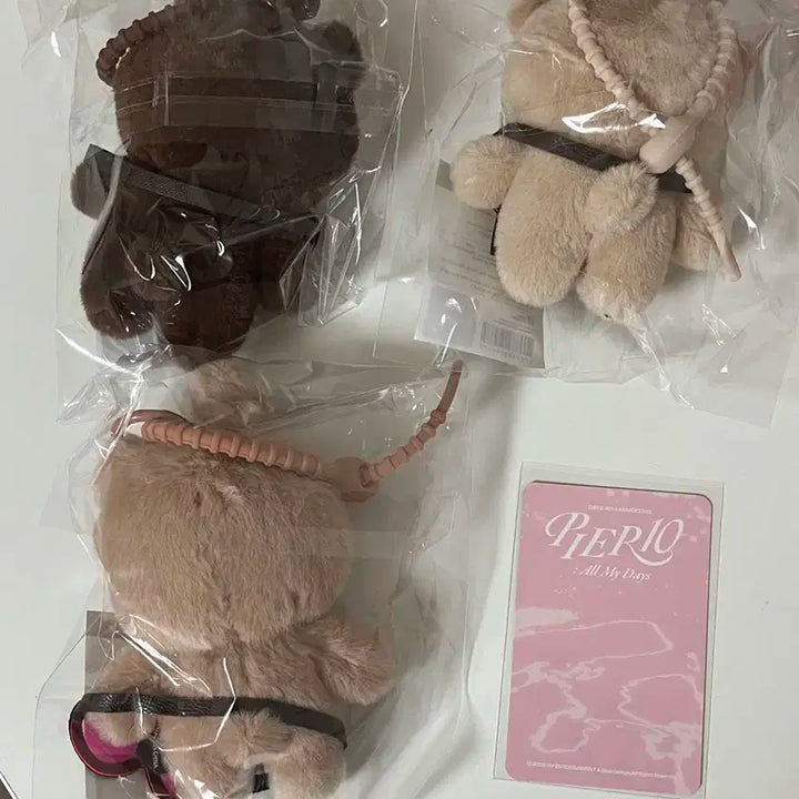 데이식스 태닝 방필돈 일괄 + 원필 포카