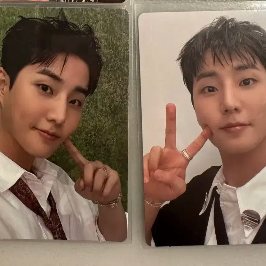데이식스 인이어반 포카 영케이 일괄 양도