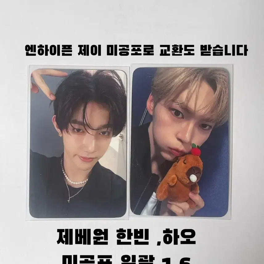 미공포 덤 제베원 미공포 일괄