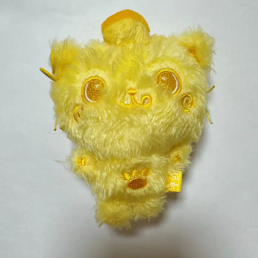 엔시티위시 위시돌 쿠리 양도