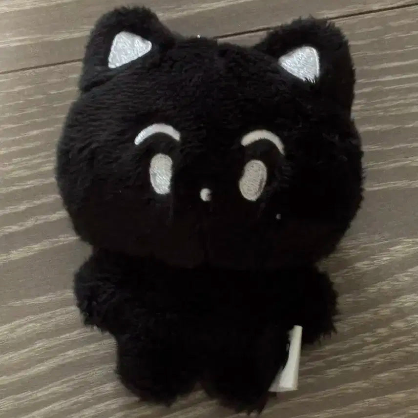 NCT 마크인형 애옹이